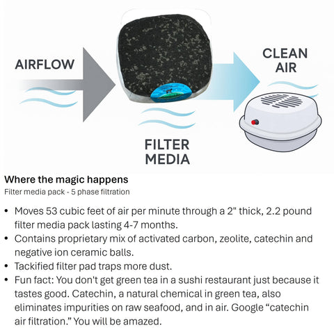Diagram showing Litter Box Air Purifier for Cats and Small Pets with 53 CFM airflow and premium activated carbon zeolite VOC filters