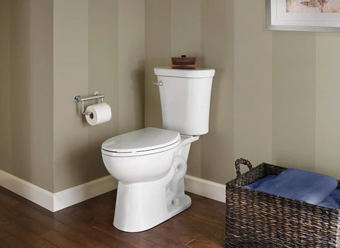 Contemporary Tissue Holder and Grab Bar in Chrome, Wall Mounted beside toilet, showcasing 6-Inch Long Pivoting Arm in bathroom setting.