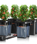 7 Gallon Deep Water Culture DWC Hydroponics Grow System With Triangular Cover Design Recirculating Top Drip Kit 11W Air Pump And Four Buckets For Easy No Fuss Indoor Gardening And Healthy Harvests.