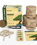 All In One Bonsai Growing Kit For Beginners With Seeds Norway Spruce Royal Poinciana Blue Jacaranda And Rocky Mountain Pine