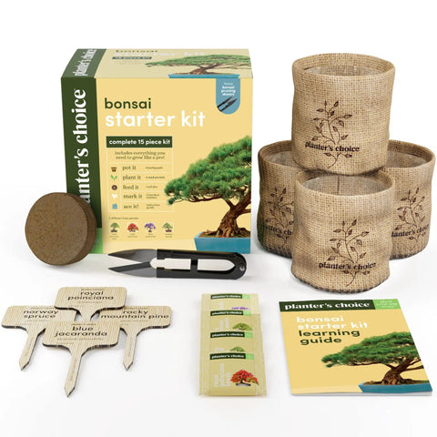 All In One Bonsai Growing Kit For Beginners With Seeds Norway Spruce Royal Poinciana Blue Jacaranda And Rocky Mountain Pine