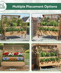 Two Tier Raised Garden Bed With Trellis And Top Shelf For Patio Or Balcony, Outdoor Elevated Planter Box in various settings