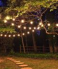 Solar String Lights Waterproof Indoor Outdoor Hanging Umbrella Lights With 25 Bulbs And 27 Ft Patio String For Deck Yard Porch Market Cafe Party Vibes Decor illuminating a forest path.