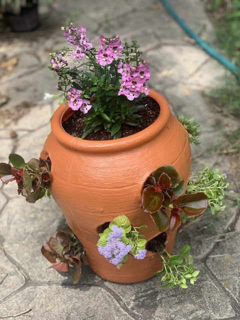 Strawberry Jar Planter With Twelve Side Openings For Herbs Flowers And Succulents Durable Lightweight Terra Cotta Colored Plastic Garden Container featuring blooming flowers outdoors