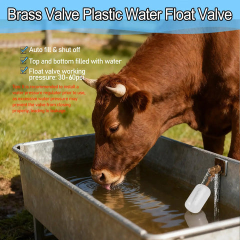 Cow drinking from trough with brass valve plastic water float valve, auto fill and shut off, 30-60PSI pressure regulation