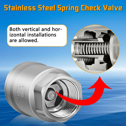 Boltigen 1-inch stainless steel spring check valve, inline horizontal water valve.