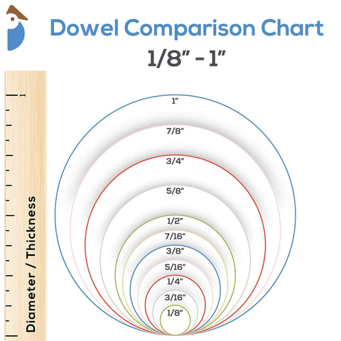 Dowel Comparison Chart showing sizes from 1/8" to 1" with a ruler, illustrating thickness for Top Shelf Pre Sanded Wood Dowel Rods 3/16 Inch X 12 Inch Pack Of 100 Smooth Unfinished Hardwood Craft Sticks Ready To Go For Dope DIY Creations And School Arts.
