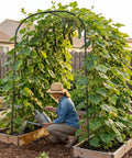 Outdoor Garden Arch Trellis For Climbing Plants, 83 Inch Tall Plant Support Arbor For Backyard And Raised Bed Gardens with vines.