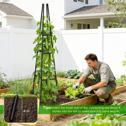 Man gardening with Obelisk Trellis for Climbing Plants, 63-inch steel plastic coated plant stake for vines in outdoor vegetable bed.