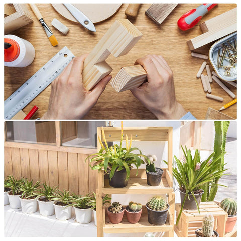 Woodworking project tools and materials with plants and wooden shelves for home improvement and gardening projects.