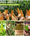 Various plants including corn, soybeans, squash, mung beans, and flowers, each with seed size from 0.12 to 0.47 inches.
