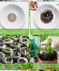 Steps showing how to use 100 Pack 30mm Peat Pellets Seed Starter Pods for Easy Seed Starting Expand to Eight Times Their Size