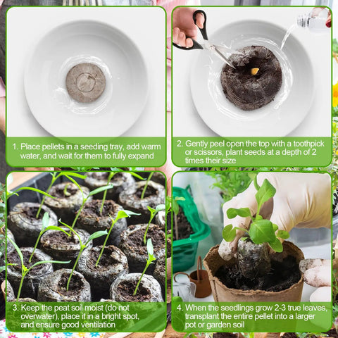 Steps showing how to use 100 Pack 30mm Peat Pellets Seed Starter Pods for Easy Seed Starting Expand to Eight Times Their Size