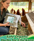 Woman adding All Natural Chicken Nesting Herbs For Coop And Nest Box 20 Oz To Freshen Bedding Cut Odor And Kickstart Egg Production in hen coop