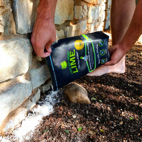 Person applying Lime Insect Deterrent 20Lb Outdoors Pest Barrier Natural Garden Repellent along a stone foundation