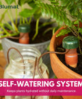 Self Watering Planter Insert And Drip Stakes Set For Pots Automatic Plant Watering System To Prevent Overwatering And Underwatering 2 Pack For Healthy Growth in a pot