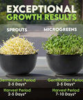 Two bowls with sprouts and microgreens showcasing exceptional growth results, germination 2-5 days, for Alfalfa Sprouting Seeds