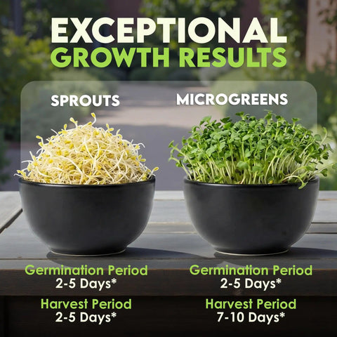 Two bowls with sprouts and microgreens showcasing exceptional growth results, germination 2-5 days, for Alfalfa Sprouting Seeds
