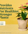 Straight Fire Liquid Plant Food For Indoor Houseplants And Potted Greens With Fast Absorbing Nutrients To Give Your Greenery A Dope Boost And Build Rock Solid Roots For Zero Sweat Care 8 Fl Oz Two Pack, potted plant on yellow background.