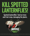 Fast Acting Outdoor Insect Killer 32 Oz Kills 500 Plus Pests On Contact Provides Same Day Control And Up To 3 Months Of Protection