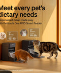 RFID Cat Feeder With Collar Tag Sensor For Personalized Meals, Cat Recognition, Diet Tracking And Anti Theft In Multi Pet Homes, Smart WiFi Programmable Food Dispenser with two cats eating