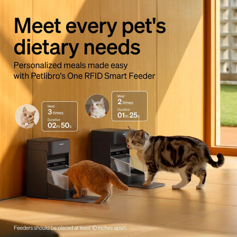 RFID Cat Feeder With Collar Tag Sensor For Personalized Meals, Cat Recognition, Diet Tracking And Anti Theft In Multi Pet Homes, Smart WiFi Programmable Food Dispenser with two cats eating