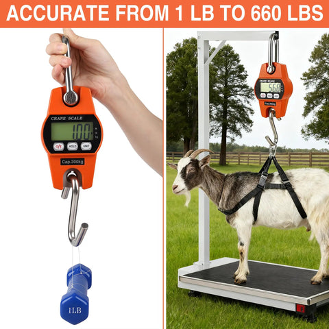 Heavy Duty Digital Crane Scale 660 Pound Capacity With Slick Backlit Lcd Screen Drop Dead Accurate Side By Side Hanging Weigher Built Tough For No Sweat Garage And Farm Loadouts That Handle Heavy Stuff Like A Champ