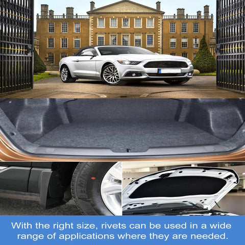 Collage showcasing Stainless Rosette Rivets For VIN Door Tags Fits Ford Chrysler AMC GM Cars 2 Pack including car trunk and hood views