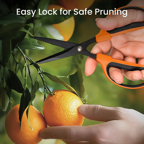 Hand using Three Pack Trimming Scissors With Teflon Coated Non Stick Blades for pruning snips on citrus plant with precision.