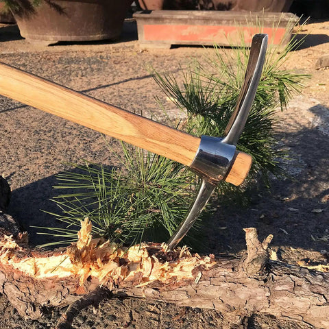 Hand Mattock Pick Axe Seventeen Point Seven Inch Garden Tool with stainless tines chopping a branch outdoors
