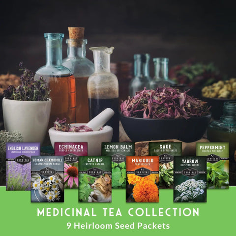 Herbal Tea Seed Pack For Planting With 9 Varieties Heirloom Non GMO Herbs For Teas And Remedies Grow Your Own Natural Remedies