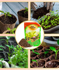 Seed Starting Soil Mix 1qt for seedlings in various containers, showing enhanced germination environment, superior drainage and airflow.
