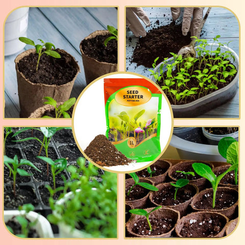 Seed Starting Soil Mix 1qt for seedlings in various containers, showing enhanced germination environment, superior drainage and airflow.