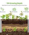 Cross-section of an oval galvanized raised garden bed showing 3 ft growing depth with layers for coffee grounds, grass clippings, and veggies.