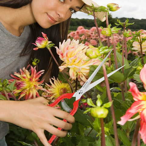Gardener using Extra Long Reach Pruning Shears With Stainless Steel Blades For Easy Deadheading And Precise Trims In The Garden