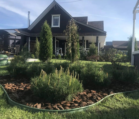 4 Inch HDPE Landscape Edging For Lawns And Flower Beds Flexible Garden Border System Black Easy To Install In Straight Lines Or 90 Degree Turns Frost And Rain Resistant surrounding a flower bed in front of a house