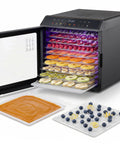 Amp Up Your Snack Game With This Solid 10 Tray Stainless Steel Digital Food Dehydrator featuring trays of fruits and puree.