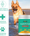 Dog Muscle And Joint Recovery Supplement With Fortetropin And Green Lipped Mussel For Faster Recovery Improved Mobility Joint Health Support Post Workout Recovery For Active Dogs 396 Gr with a dog running in water background