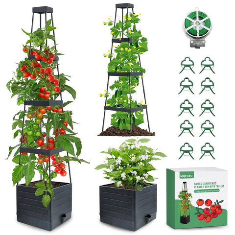 Two Pack Raised Garden Bed Planter Boxes With Trellis For A 57 Inch Self Watering Tomato Planter Box Set With extra accessories
