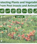 Fortify Your Garden With A 4 By 10 Foot Plant Netting Pest Barrier That Fends Off Insects Birds And Critters And Lets You Grow Vegetables Fruit And Flowers In Raised Beds Or Greenhouses