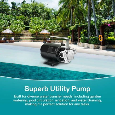 115V Water Transfer Pump One Tenth HP 330 GPH Portable Utility Pump With Hose Kit next to pool in garden setting