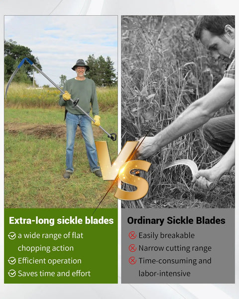 Comparison of a man using a 27 Inch Scythe For Grass Cutting With Sharpening Stone and a man using an ordinary sickle blade.