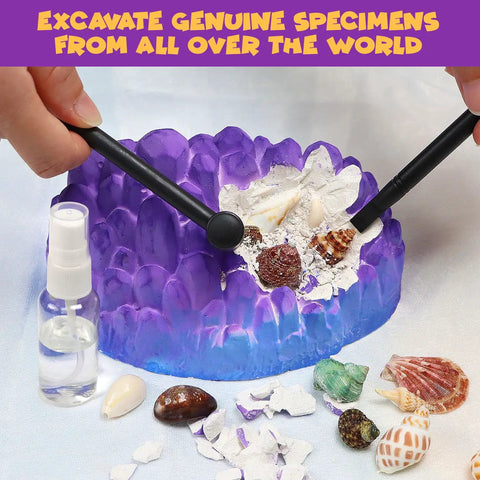 Ocean Fossil Dig Kit For Kids Dig Up Real Shells And Seasnails Excavation STEM Marine Biology And Geology Science Toy 20 Plus Fossils Hidden In A Coral Shaped Dig Brick Educational Hands On Discovery Gift For Boys And Girls Ages 6 And Up, coral dig brick with shells
