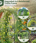 Upgraded 4x3 trellis structure for Galvanized Raised Garden Bed With Trellis, 6 By 3 By 1 Ft, supporting climbing plants.