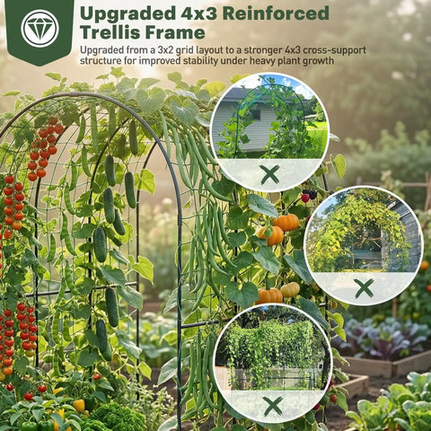Upgraded 4x3 trellis structure for Galvanized Raised Garden Bed With Trellis, 6 By 3 By 1 Ft, supporting climbing plants.
