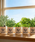 Indoor Herb Garden Starter Kit With Basil Parsley Rosemary Thyme And Mint Includes Planter Box Soil Discs Planters Markers