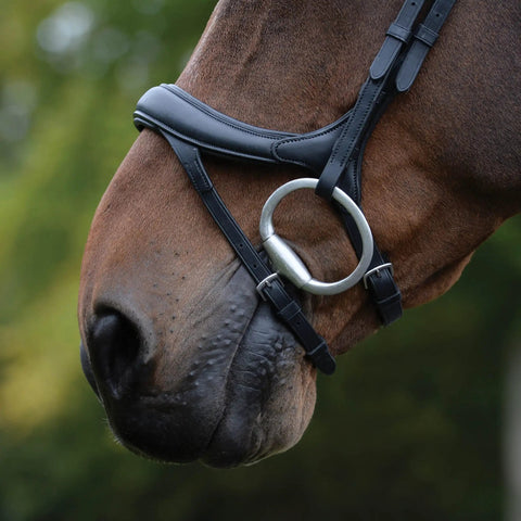 Close-up of horse wearing ComFiTec Vogue Anatomical Bridle With Ultra Soft Padding Headpiece, brown leather, curved nose piece.