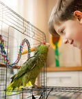 Totally Bendable Multicolor Cotton Bird Rope Perch Built Tough With A Steel Core And Quick Twist End Nuts For Straight Up Secure Cage Climbing Action, 31.5 inch perch in use with parrot and child.