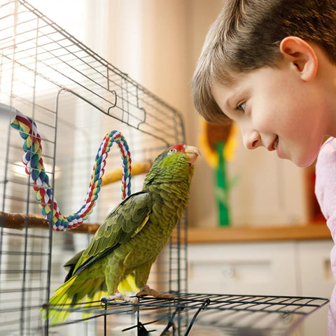 Totally Bendable Multicolor Cotton Bird Rope Perch Built Tough With A Steel Core And Quick Twist End Nuts For Straight Up Secure Cage Climbing Action, 31.5 inch perch in use with parrot and child.