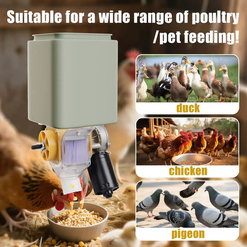 Smooth Operator 16 Group Automatic Poultry Feeder With Programmable Timer for feeding ducks, chickens, and pigeons.